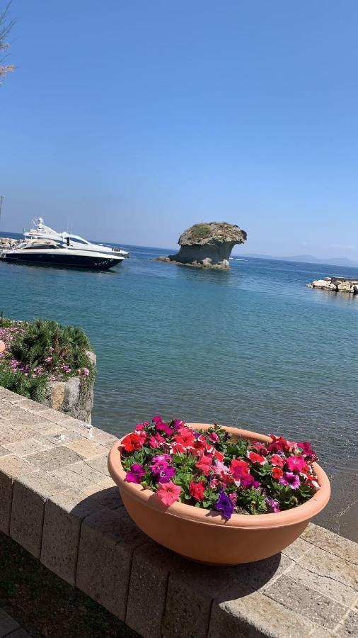 Villa Martina Suite Apartament Lacco Ameno  Exteriér fotografie